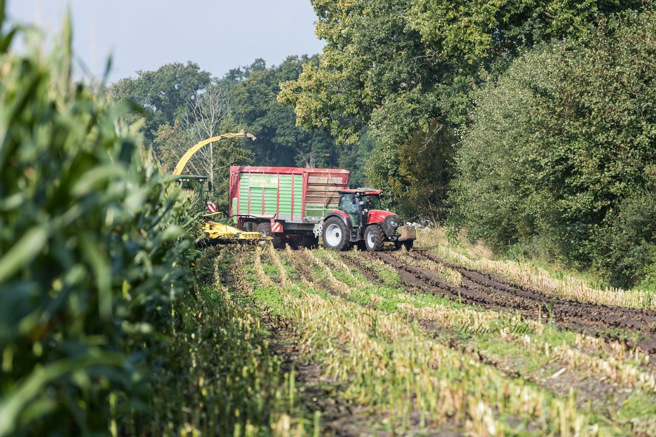 Bild 221 - Maisernte